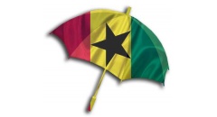 Logo van Stichting Ghanese Gemeenschap Nederland (Recogin)