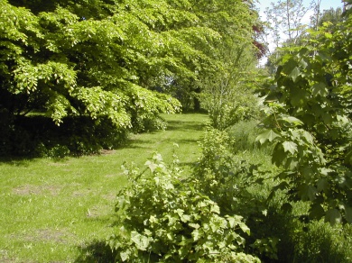 Sfeerimpressie van Werken op een ecologische boerderij de Boterbloem  (er is op dit moment geen instroom mogelijk ) bij  Stichting Landzijde